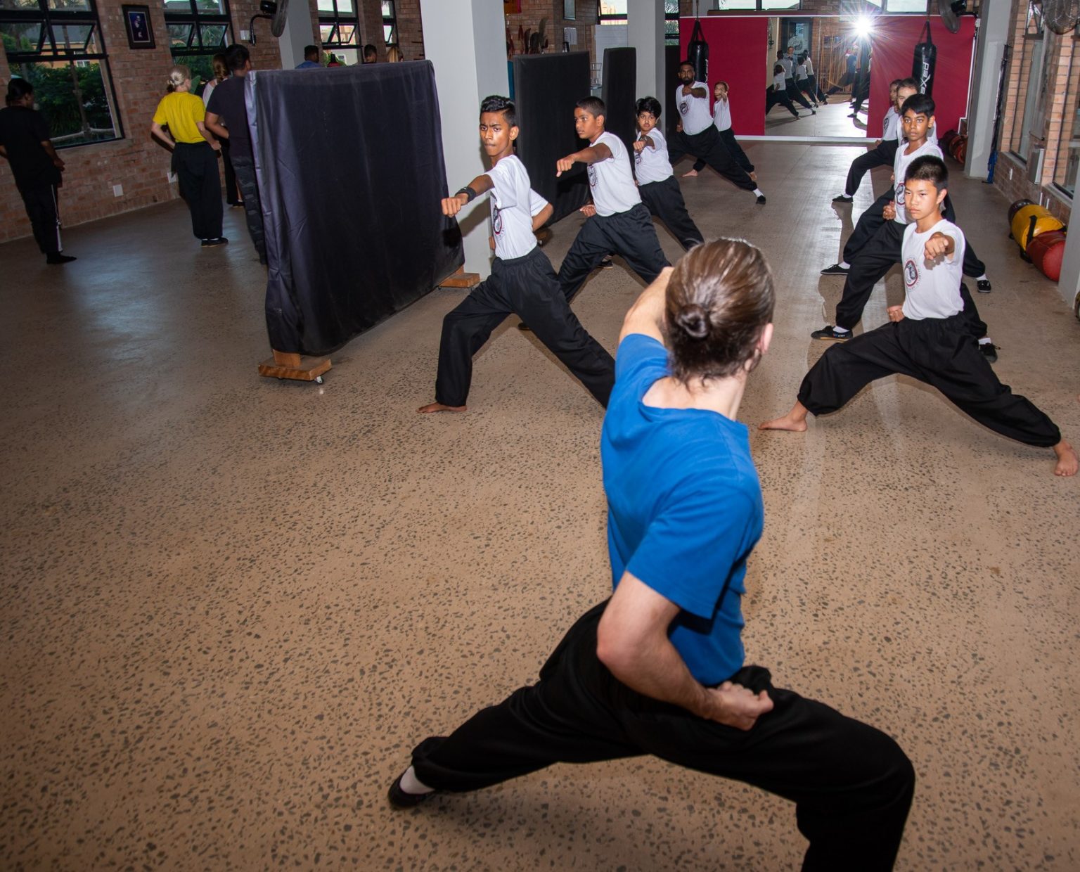 Students practising Kung Fu in class